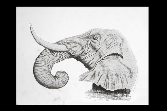 Gianna's Art-8