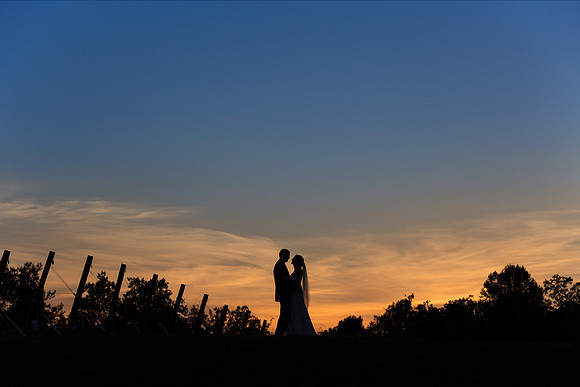 The Reception15