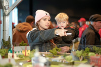 Model Railroad 2025-0005