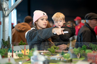 Model Railroad 2025-0005