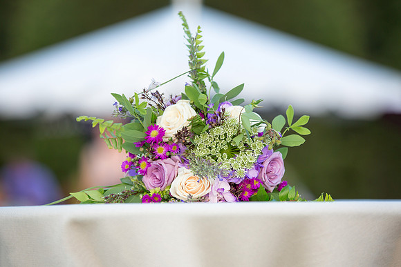 The Reception17