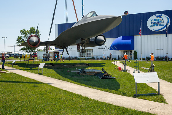 Blackbird6