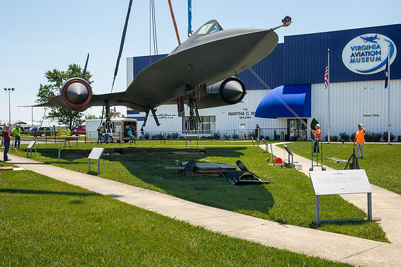 Blackbird7