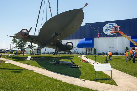 Blackbird8