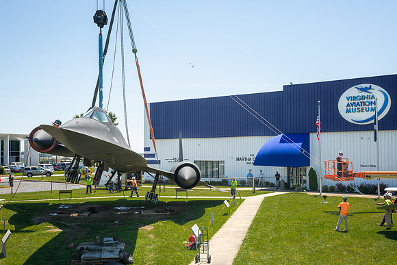 Blackbird9