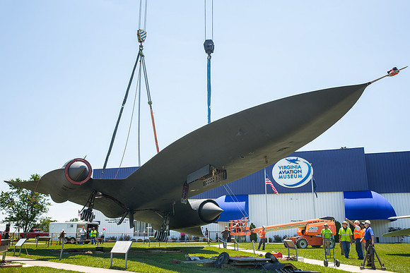 Blackbird10