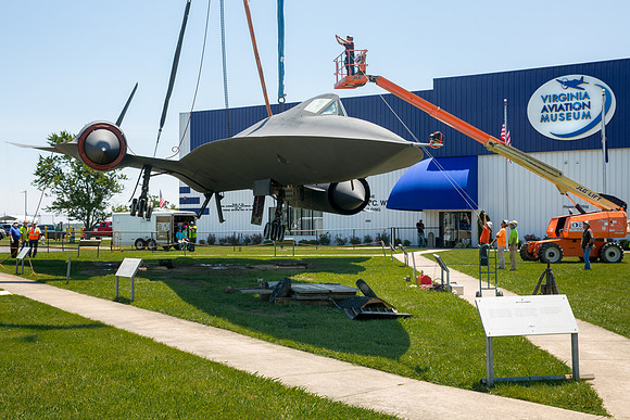 Blackbird11