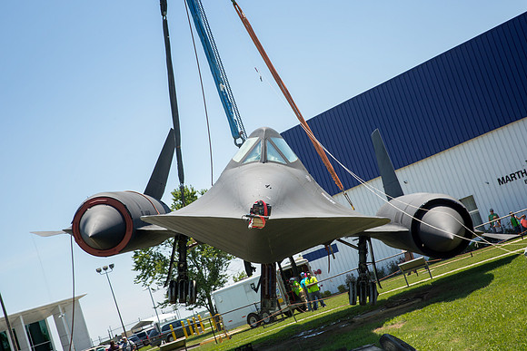 Blackbird17