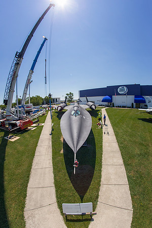 Blackbird21