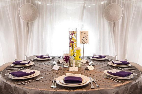 The Reception26