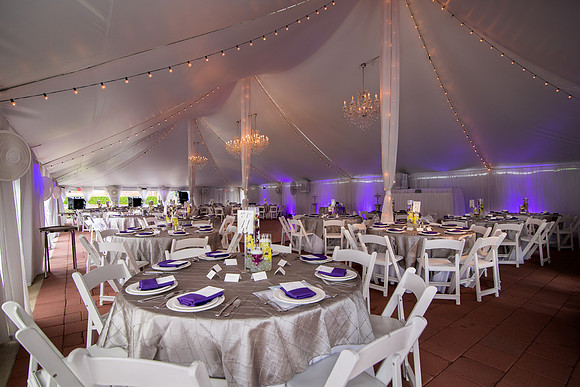 The Reception228