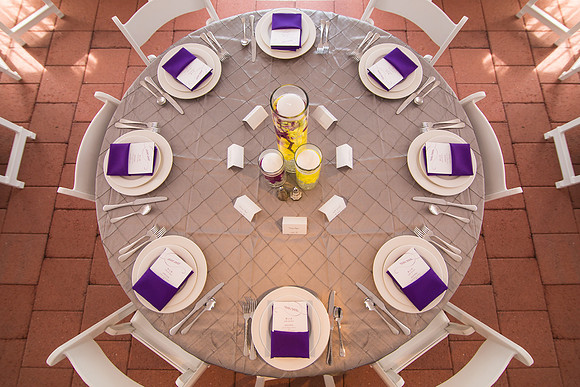 The Reception229
