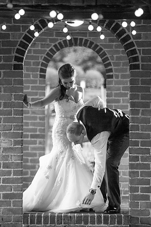 The Reception246
