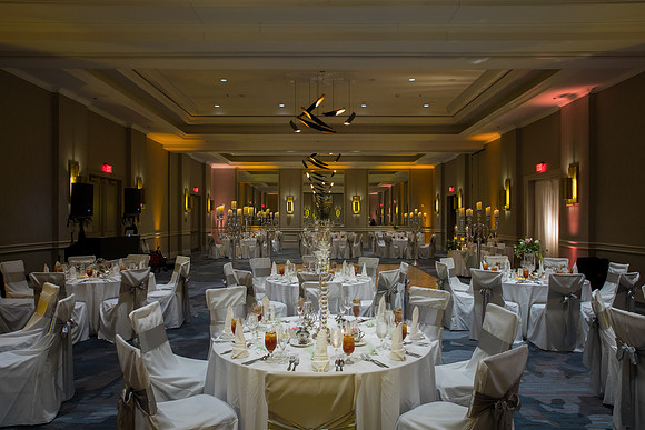 The Reception