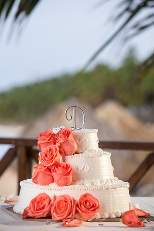 The Ceremony94