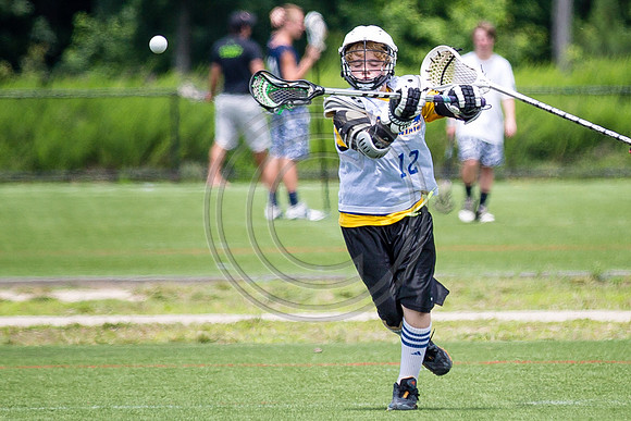 Lacrosse101