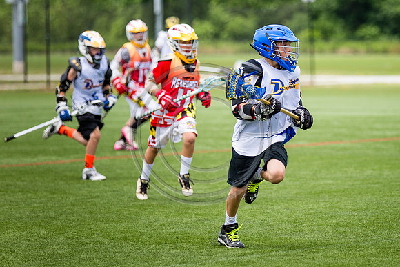 Lacrosse100