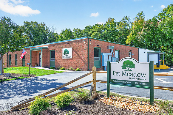 Pet Meadow-27