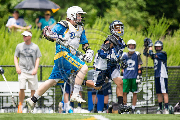 Lacrosse113