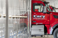 DW Cary-4