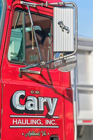 DW Cary-29