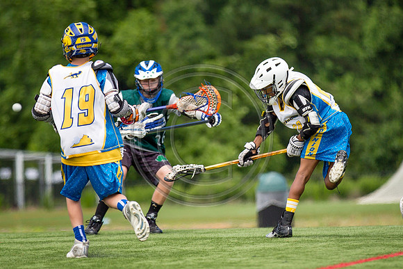Lacrosse95