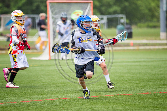 Lacrosse99