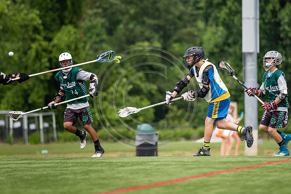 Lacrosse96
