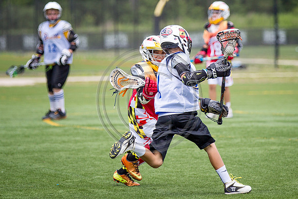 Lacrosse104