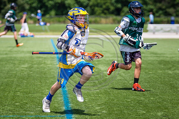 Lacrosse85