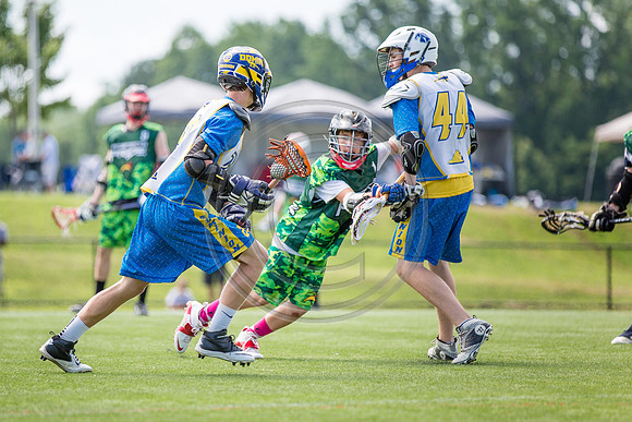 Lacrosse46