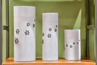 Pet Meadow-21