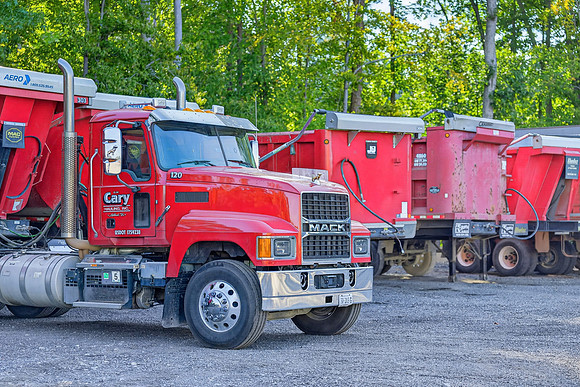 DW Cary-31