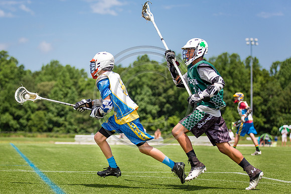 Lacrosse86