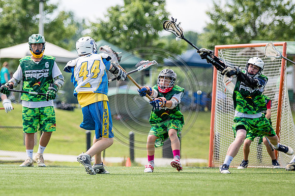 Lacrosse49