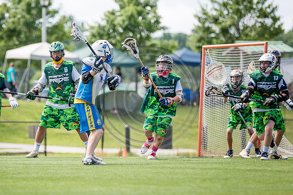 Lacrosse48