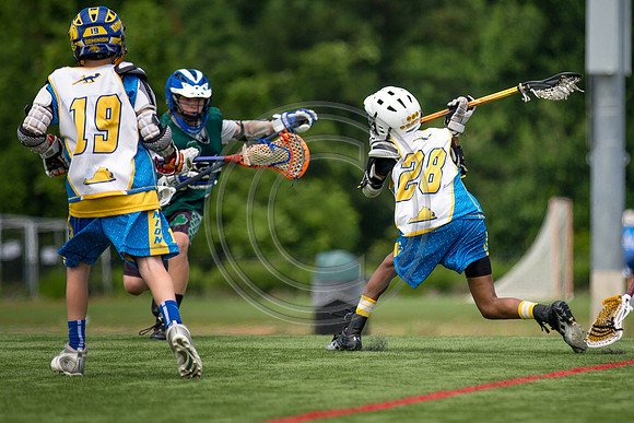 Lacrosse94