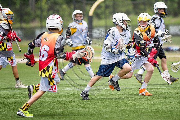 Lacrosse103