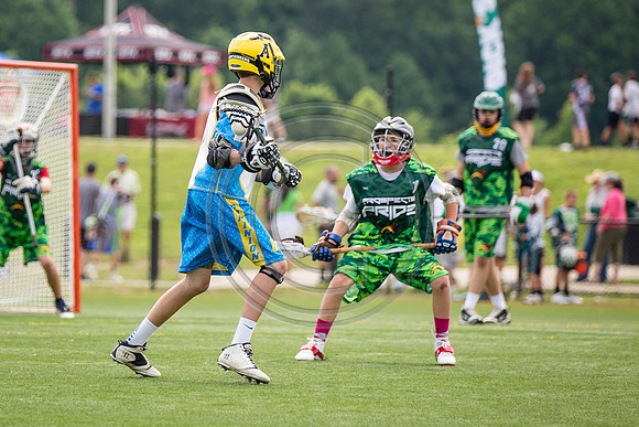 Lacrosse4