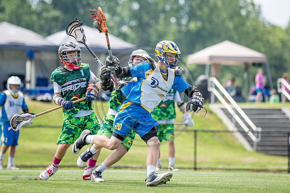 Lacrosse44