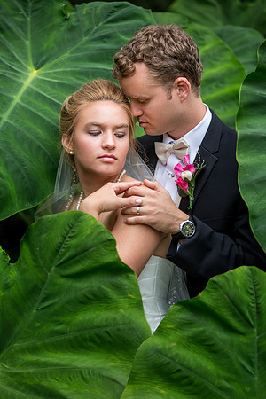 The Reception27