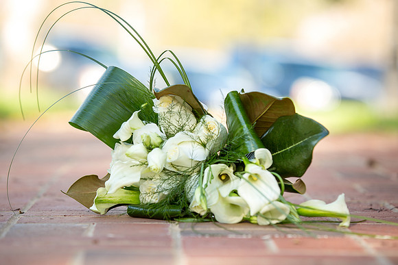 The Reception6