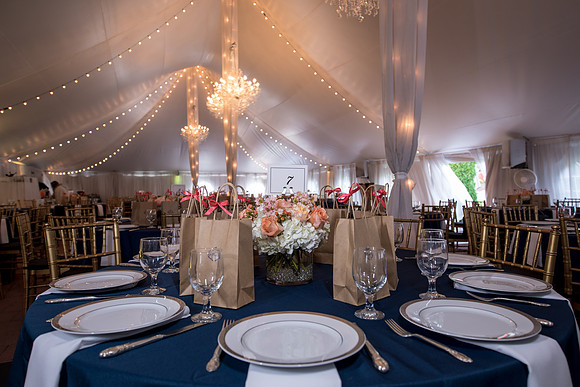 The Reception2