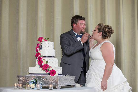 The Reception61