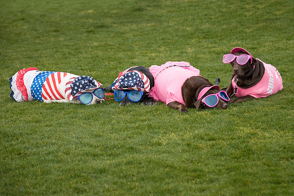 Race for the Cure33