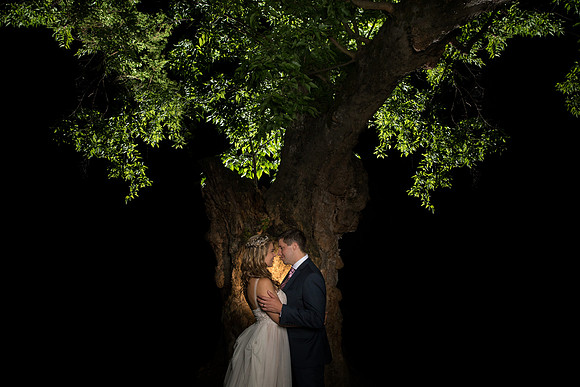 The Reception181