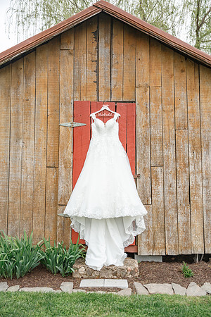 Ally & David's Wedding-1