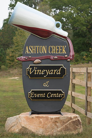 Sean & Brittany's Wedding-1