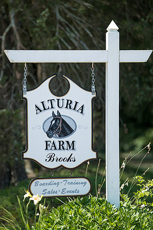 Anne & Justin's Wedding Final-7