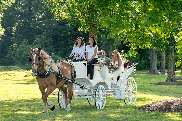 Anne & Justin's Wedding Final-212